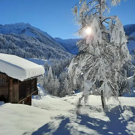 Chalet Wassermühle